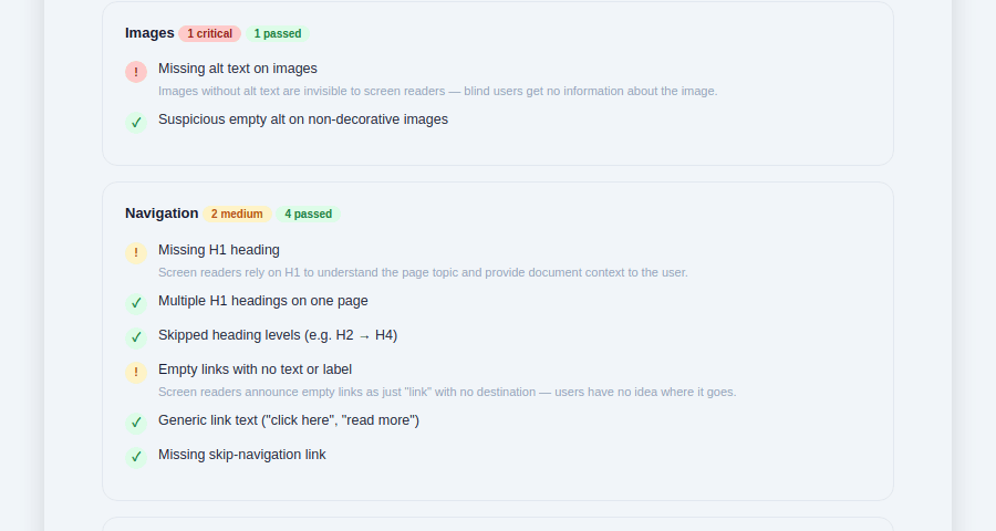 Detailed Findings — issues grouped by category with severity icons and affected elements